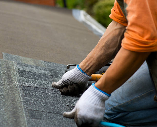 Best Roof Repair Services  in Baidland, PA